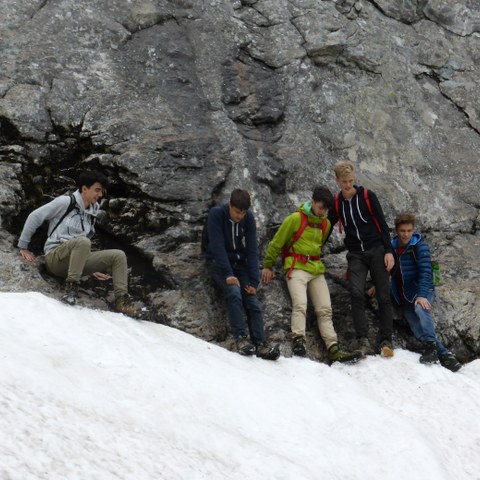 Zwischen Fels und Eis. Vergrösserte Ansicht