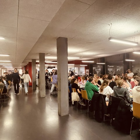F1a. Vergrösserte Ansicht