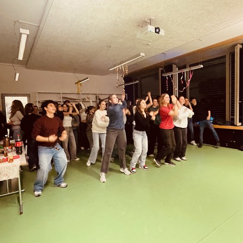 IMG 6425. Vergrösserte Ansicht