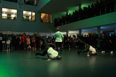 IMG 8588