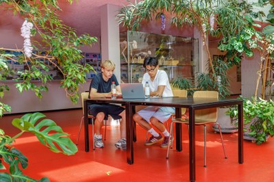 Arbeitsplatz Bio-Terrasse