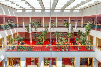 Atrium / Bio-Terrasse