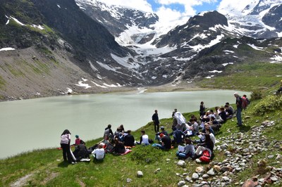 Steinalp