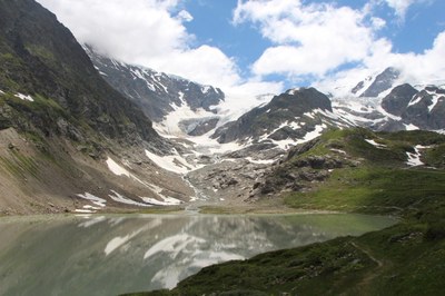 Steinalp