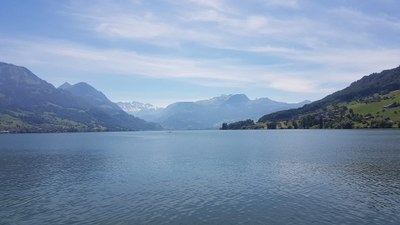 PHOTO 2019 09 17 11 04 51 3