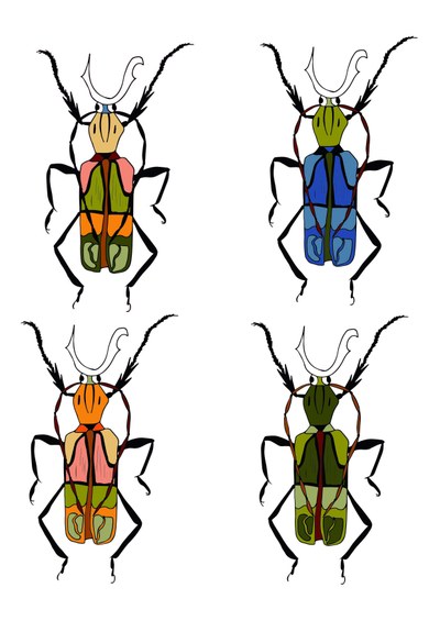 Käfer Farbvarianten Merle 1R 1.pdf