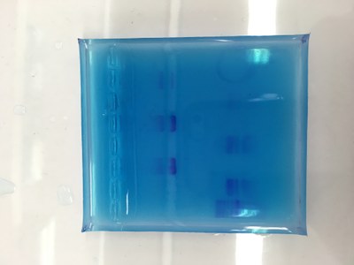 Resultat Gelelektrophorese