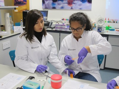Experiment Molekularbiologie