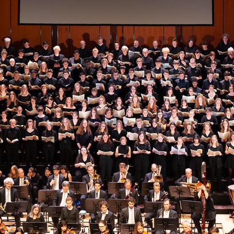 chor6. Vergrösserte Ansicht