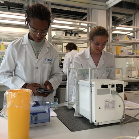 Chemiepraktikum. Vergrösserte Ansicht
